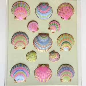 Spring Forward Painted Shells in 16 x 20 x 3" Acrylic Shadow Box frame - Original Art - One of a Kind!